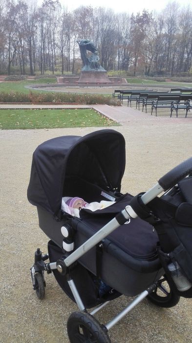 Wózek dziecięcy 2w1 gondola+spacerówka Bugaboo Cameleon + gratis