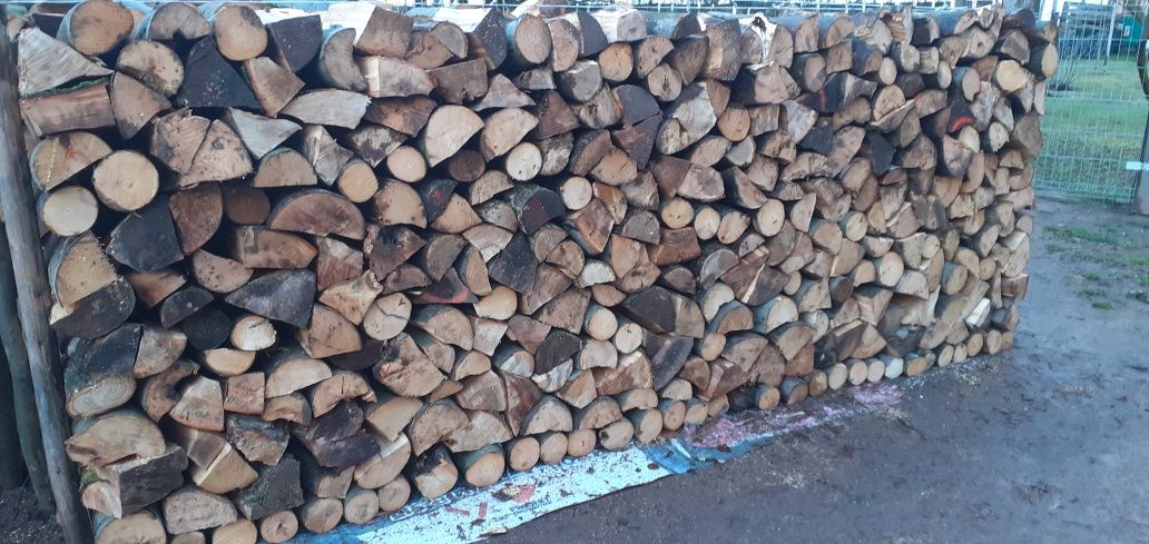 Drewno bukowe 40cm