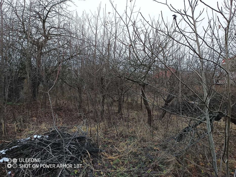 Продаж чарівної ділянки в Агрономічному