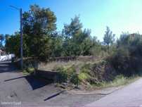 Chaves Vilela Seca