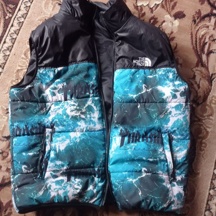 Безрукавка The nort face