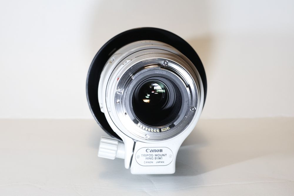 Canon EF 100-400mm f/4.5-5.6L IS USM I