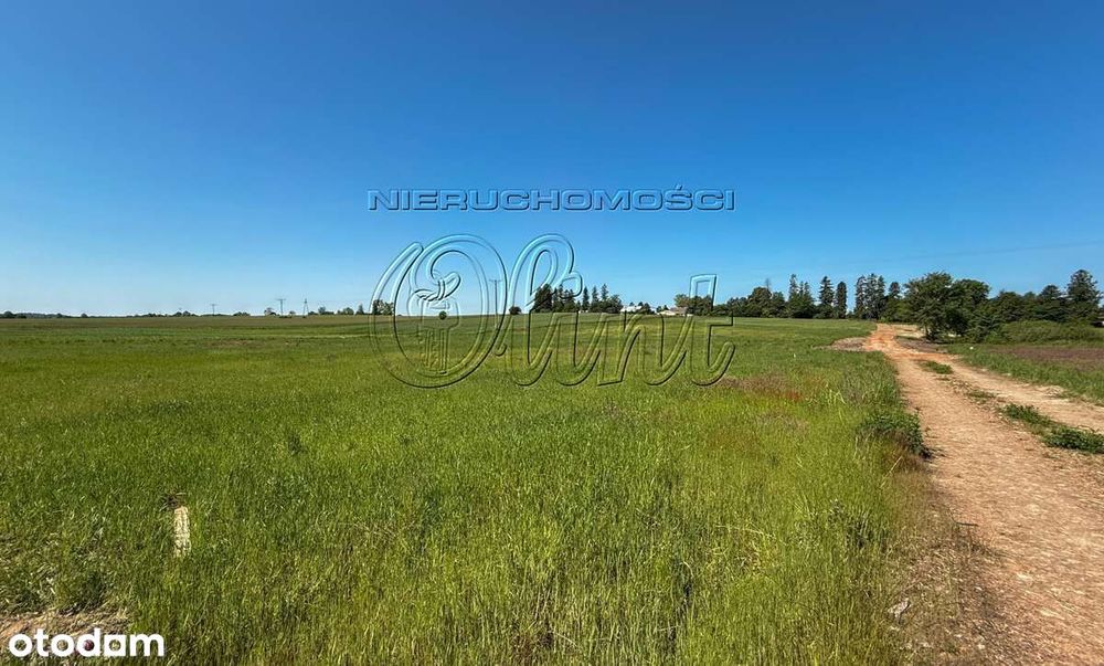 Sprzedam 3 działki w Tawęcinie