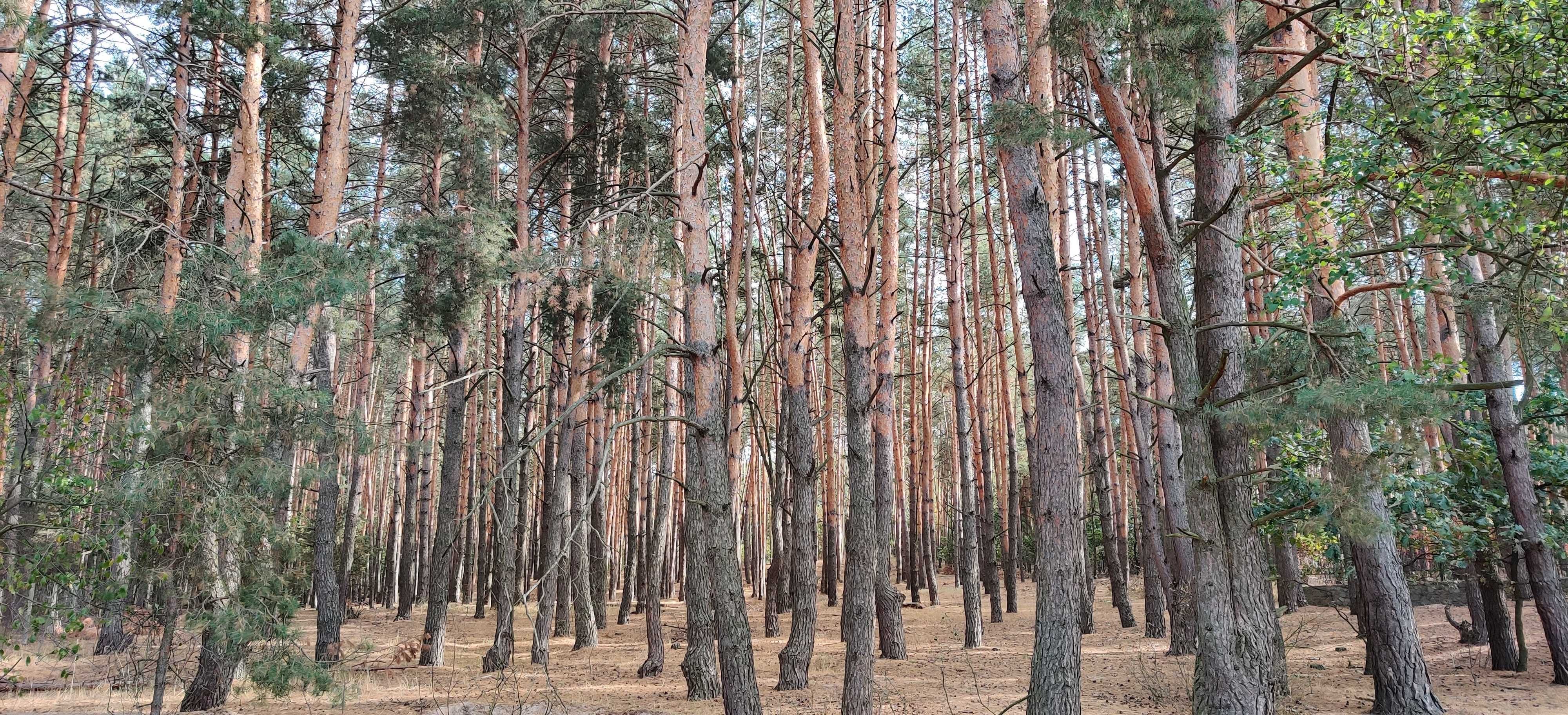 Гаряча пропозиція