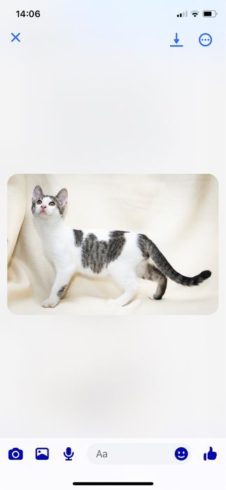 Dlaczego tak dlugo nikt nas nie chce?