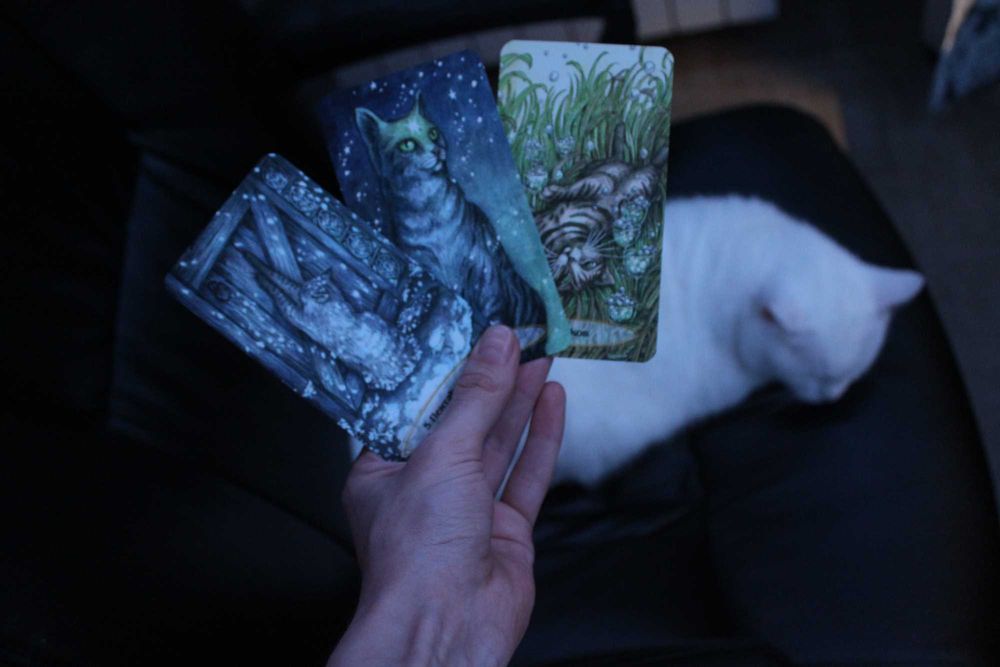 колода карт таро "душевні коти" | Soul Cats Tarot