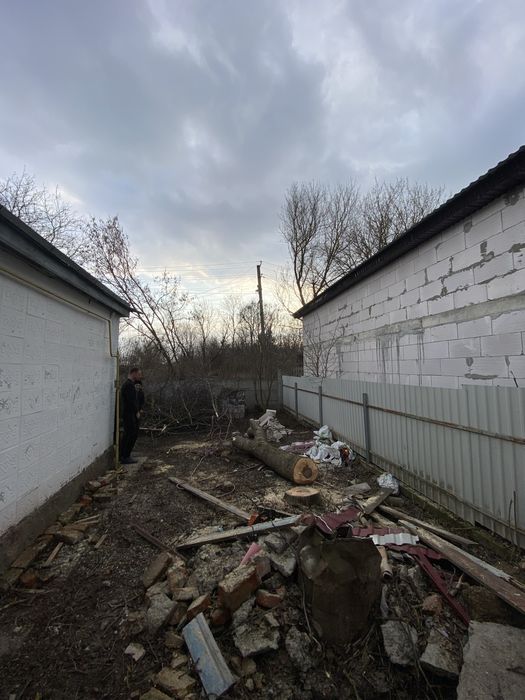 Професійне зрізання дерев