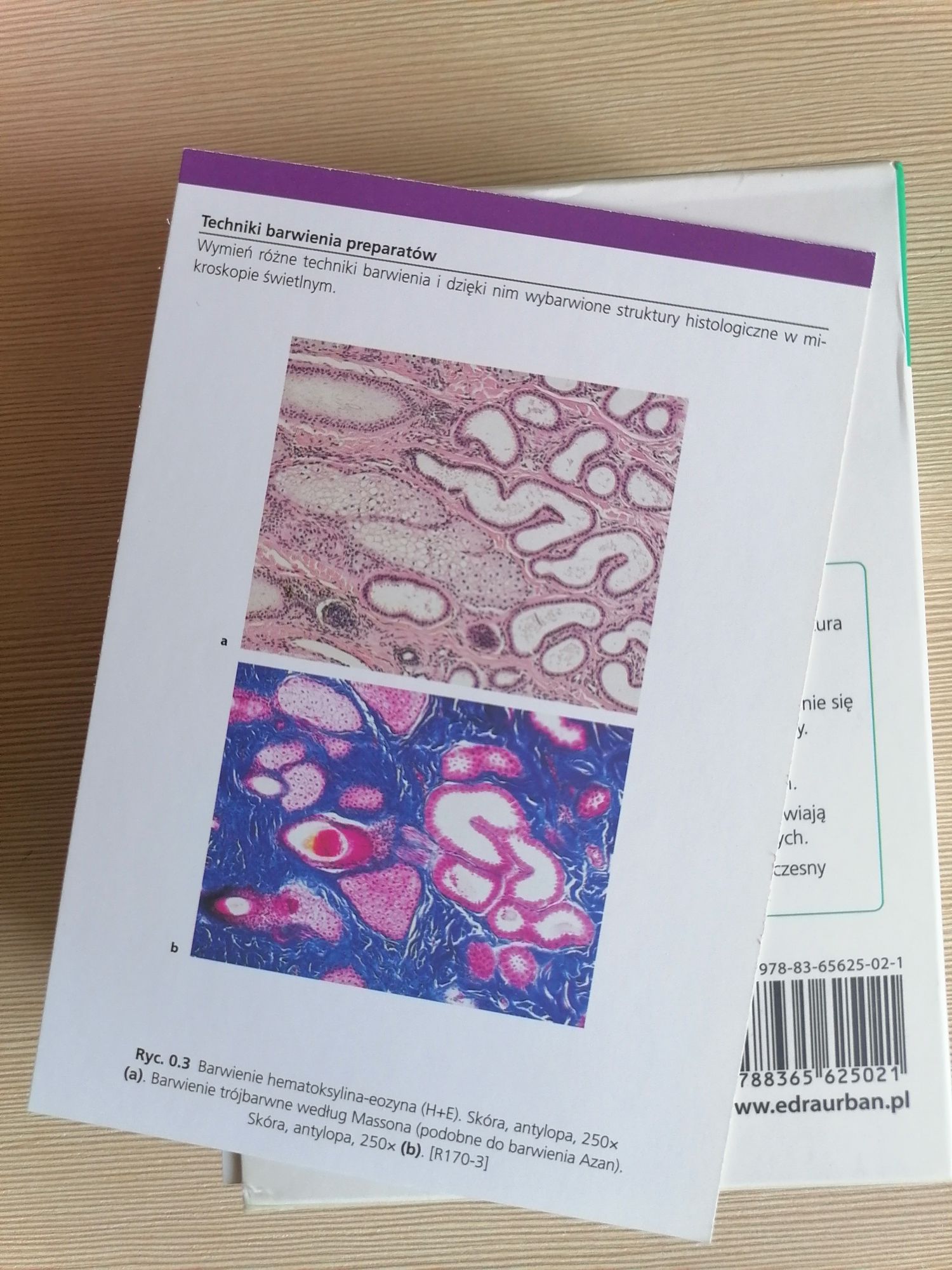 fiszki histologia sobotta flashcards medycyna