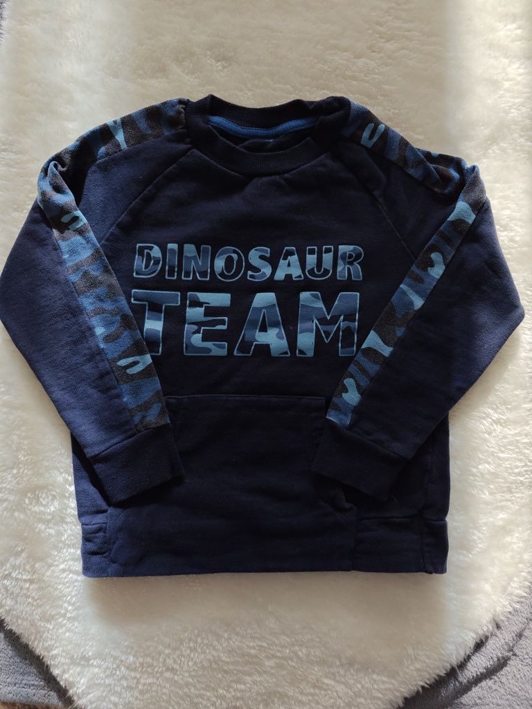 Bluza chłopięca rozmiar 98 dinosaur team