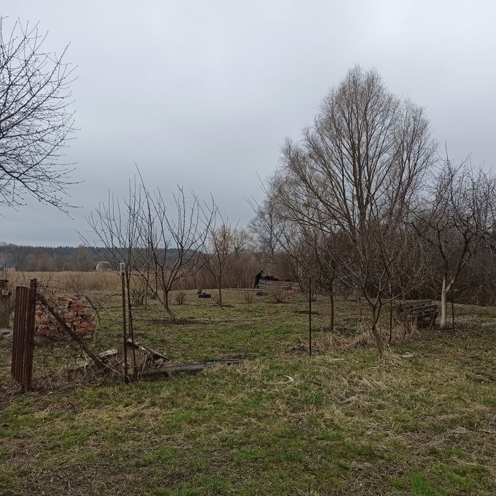 Дача, ділянка 18 соток+сад Олдиш