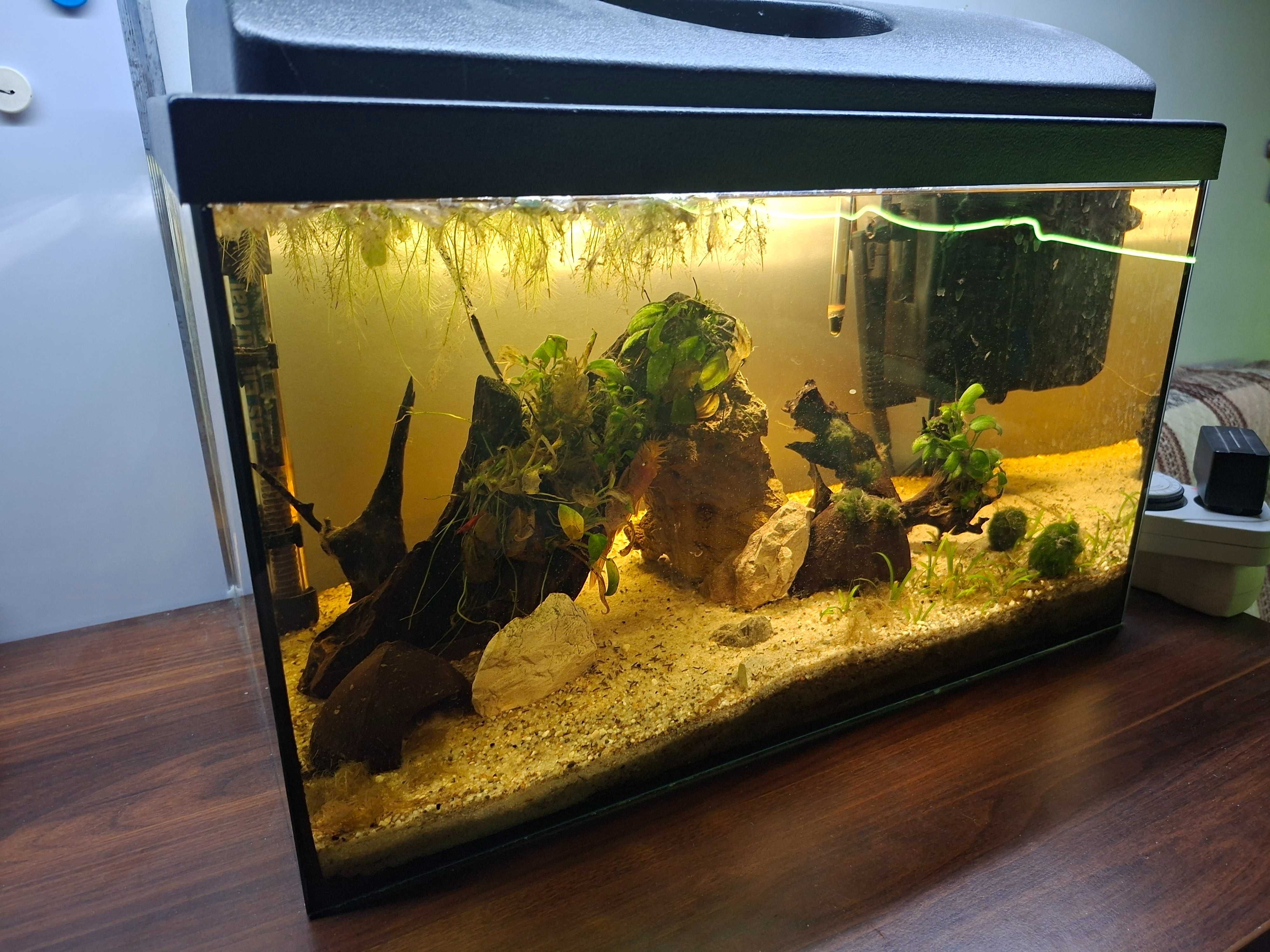 Akwarium 54 litry