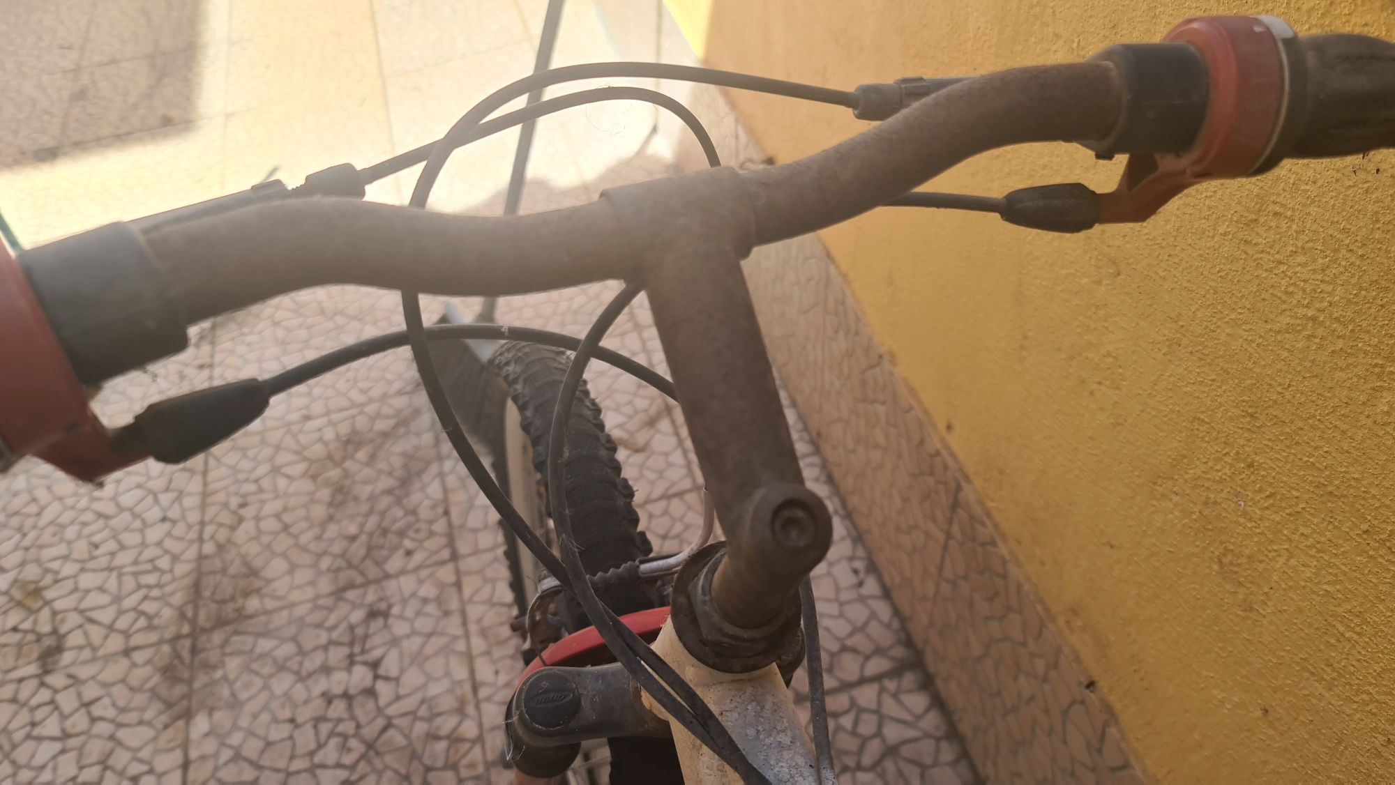 Bicileta de adulto