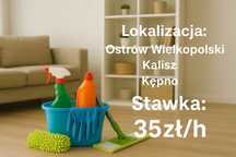 Sprzątanie domów – Kalisz, Ostrów, Kępno