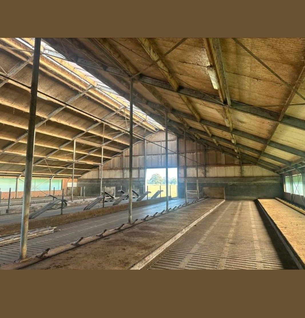 Obora dla Bydła 900m2 Okazja