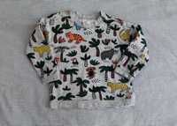H&M bluza dziecięca rozmiar 74, 6-9 miesięcy, safari
