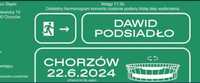 Bilety na koncert Dawid Podsiadło Chorzów 22.06.2024 (2 szt)