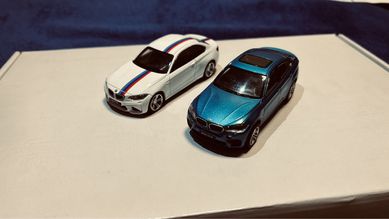 Bmw M2 X6M shell motorsport colection