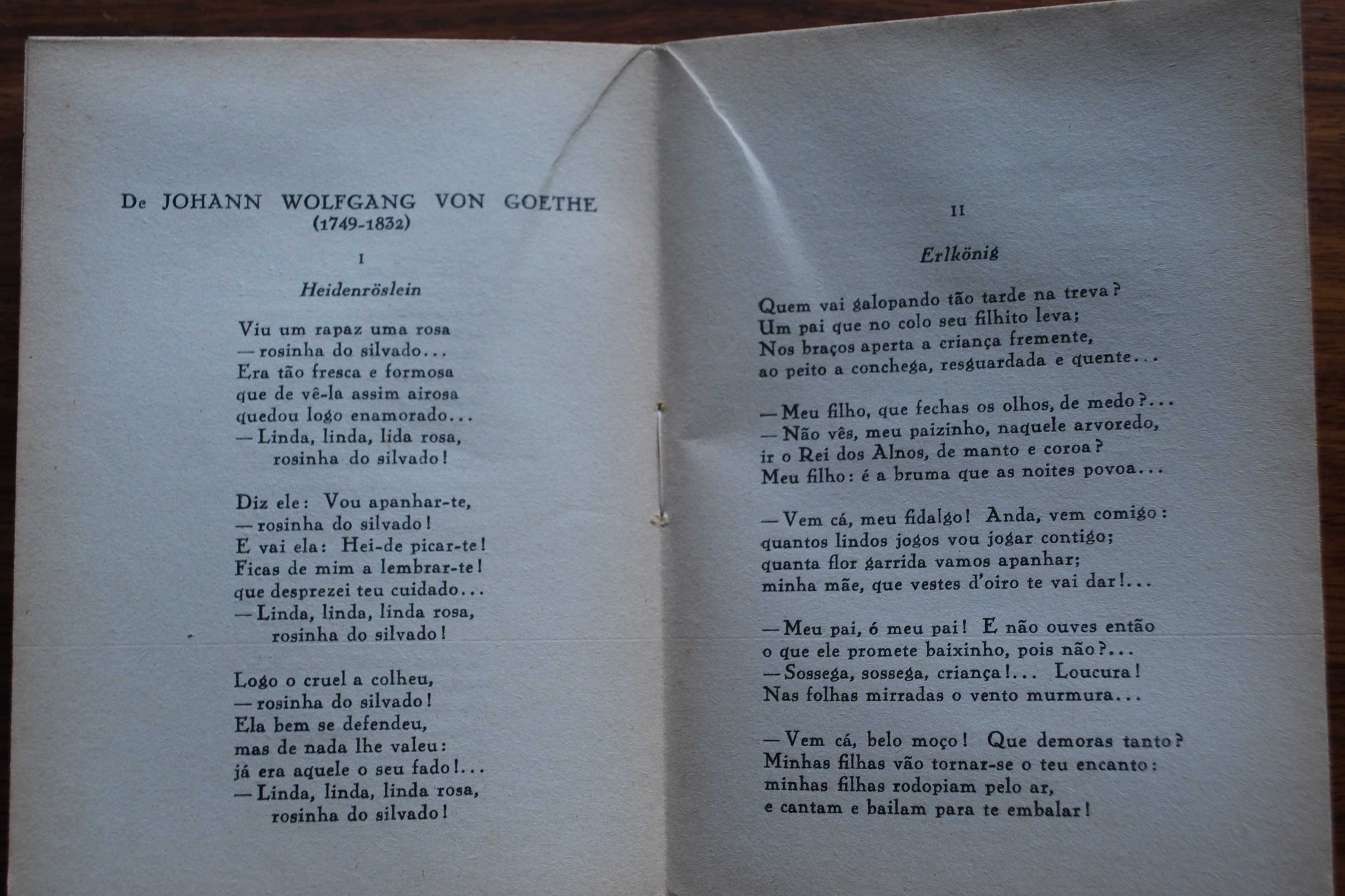 Horas de Fuga (Poesias Inglesas e de Outras Línguas) de Luiz Cardim