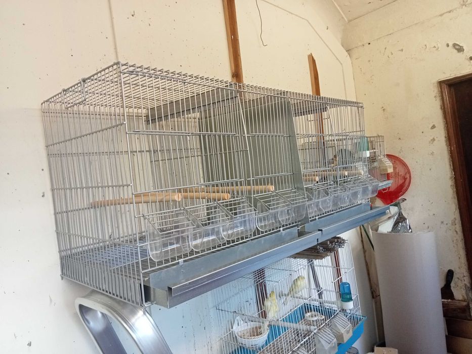 Gaiolas para canários