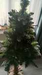 Choinka na sosnowym pniu