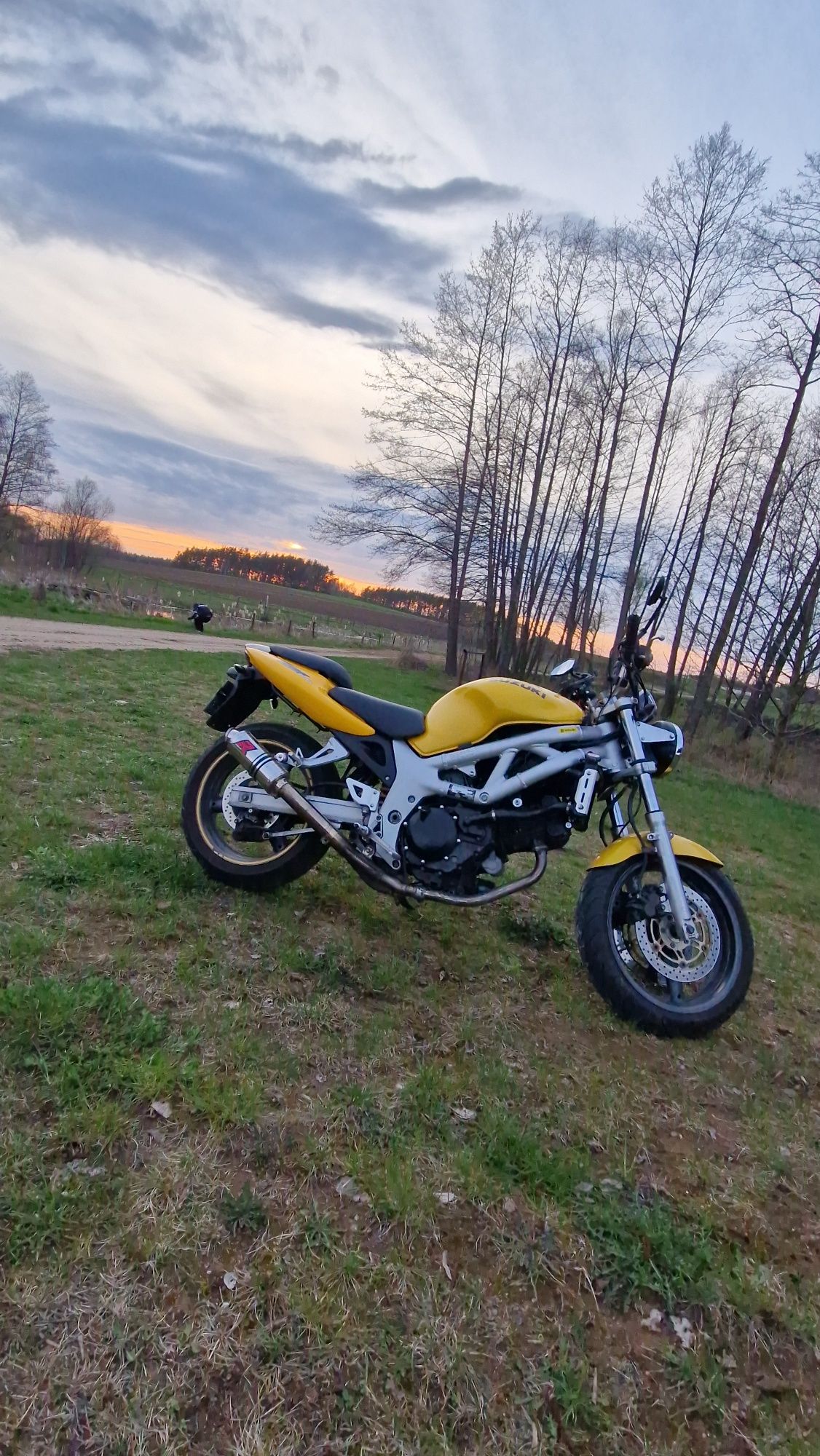 Suzuki SV650N 2000 Dominator GP1