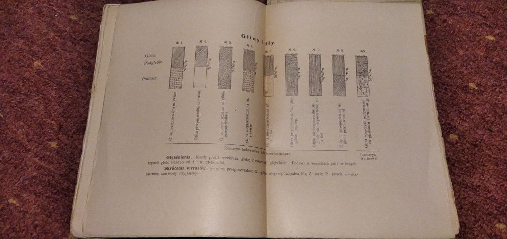Gleby Ziem Polskich Sławomir Miklaszewski 1906 rok.