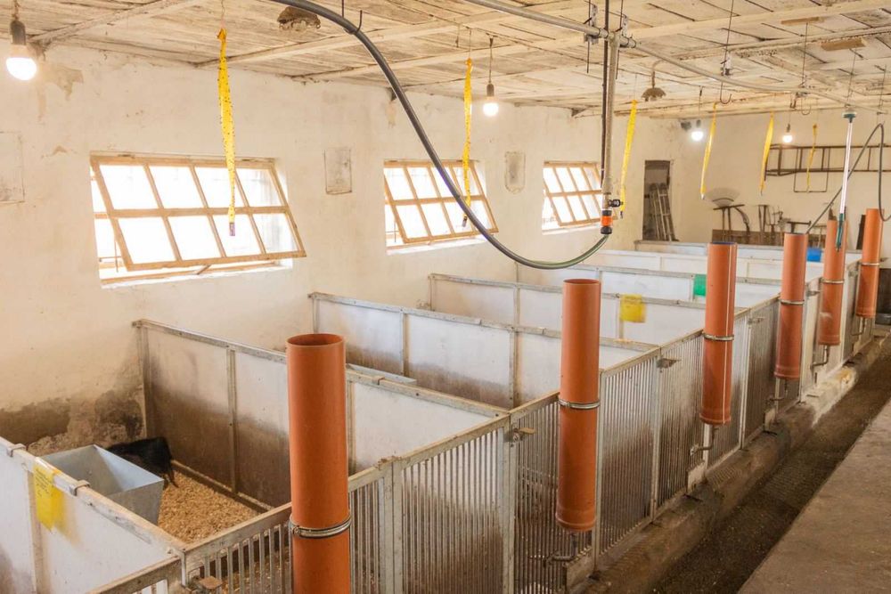 Продаж ферми з підсобними приміщеннями