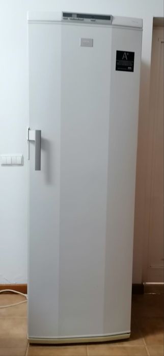 Arca congeladora vertical AEG