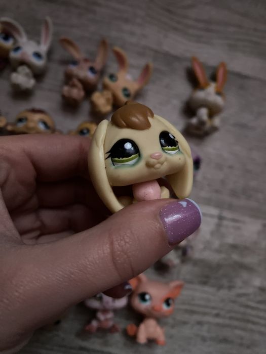 LPS Littlest pet shop zestaw