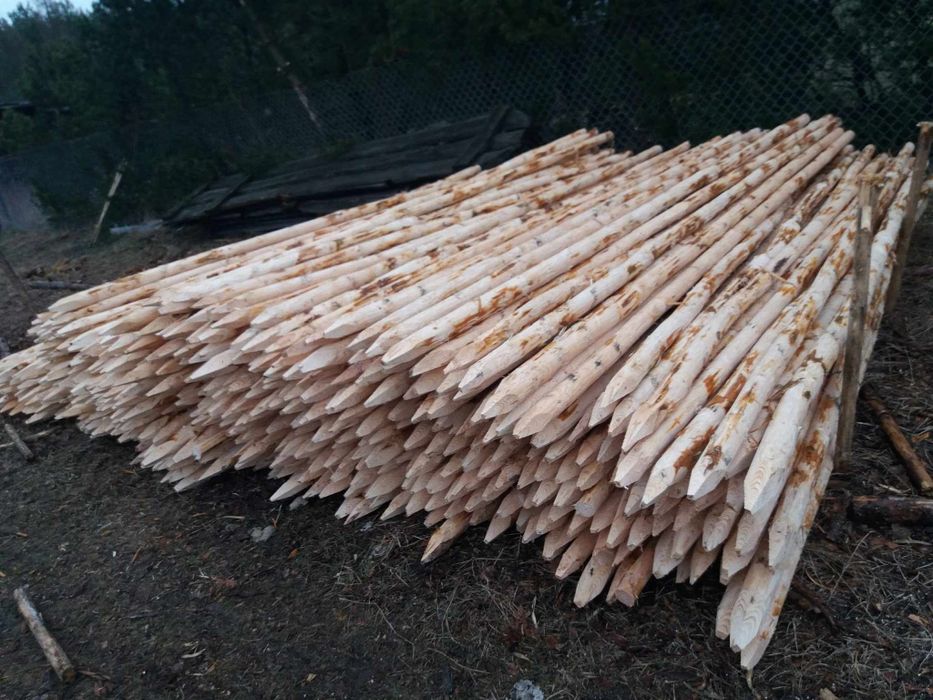 Sprzedam Kołki Paliki Pod Drzewka Owocowe