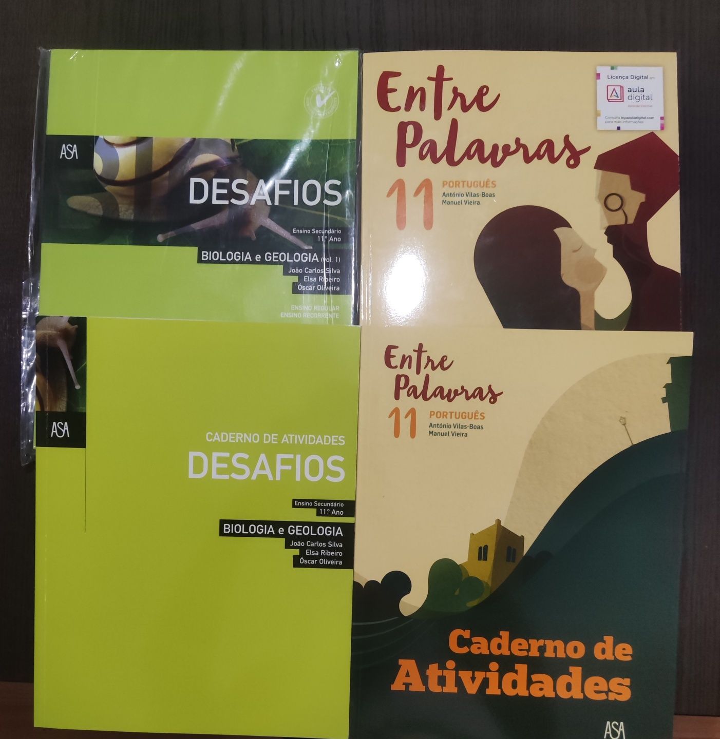 Vendo manuais/ cadernos de atividades 11° /12° ano