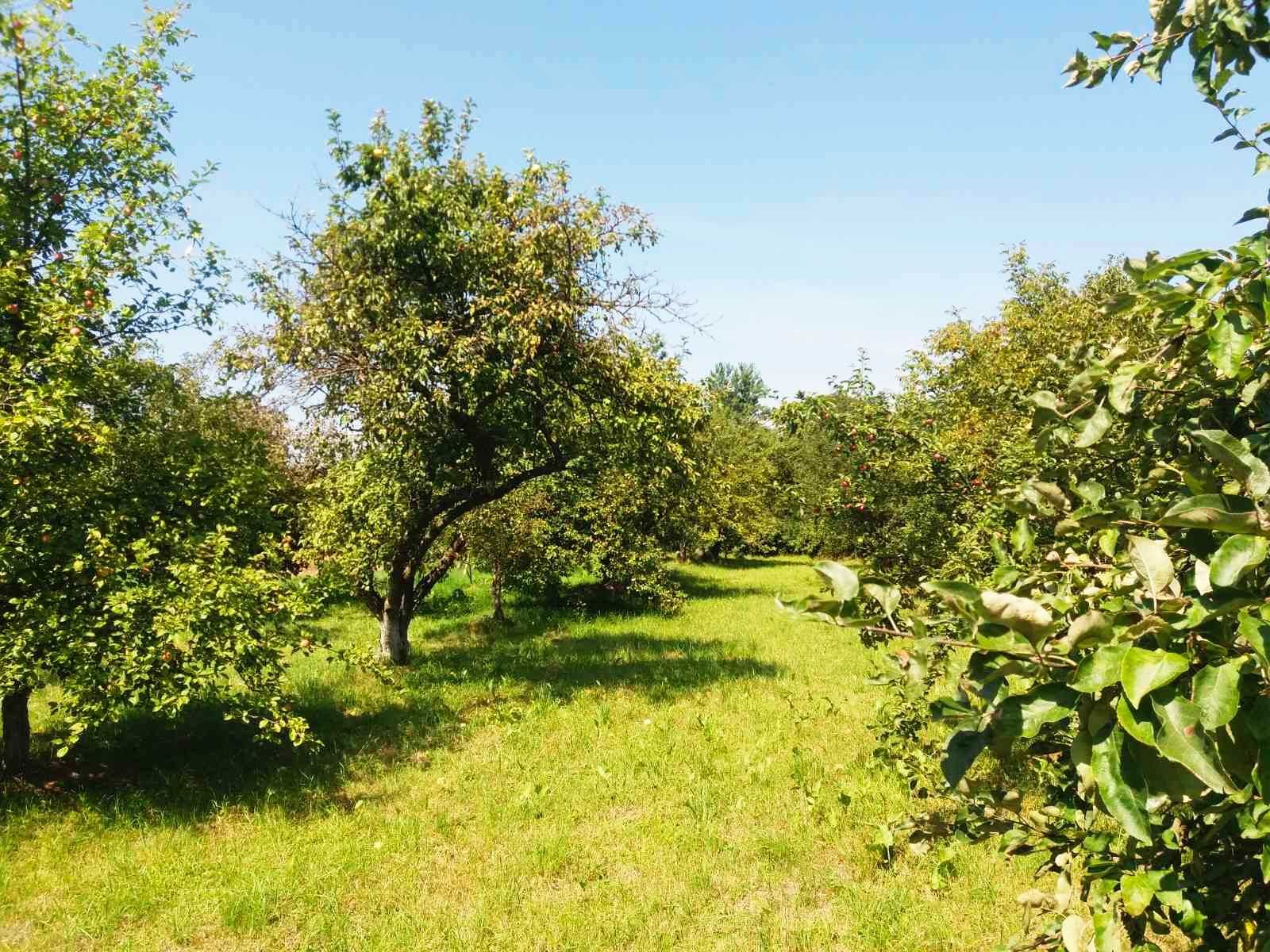 продам земельну ділянку 29 соток в м. Болехів вул. Січових Стрільців