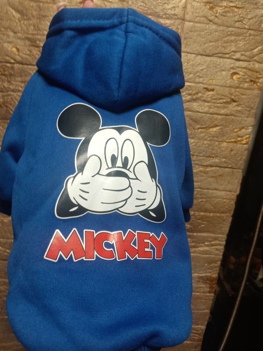 Одяг для собак малих порід