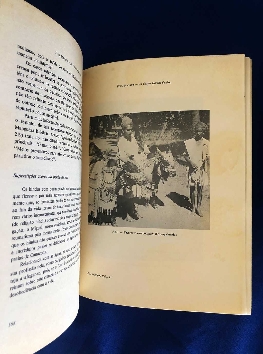 Mariano Feio As CASTAS HINDUS de GOA - 1979
