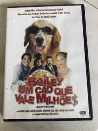Filme DVD Bailey um cão que vale milhões