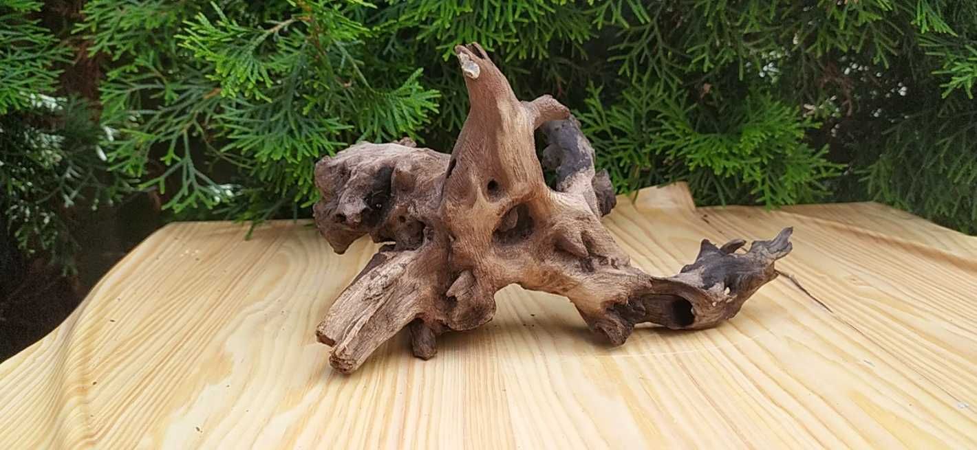 Korzeń do akwarium-20 cm