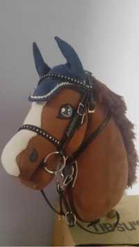 Hobby horse jarpol