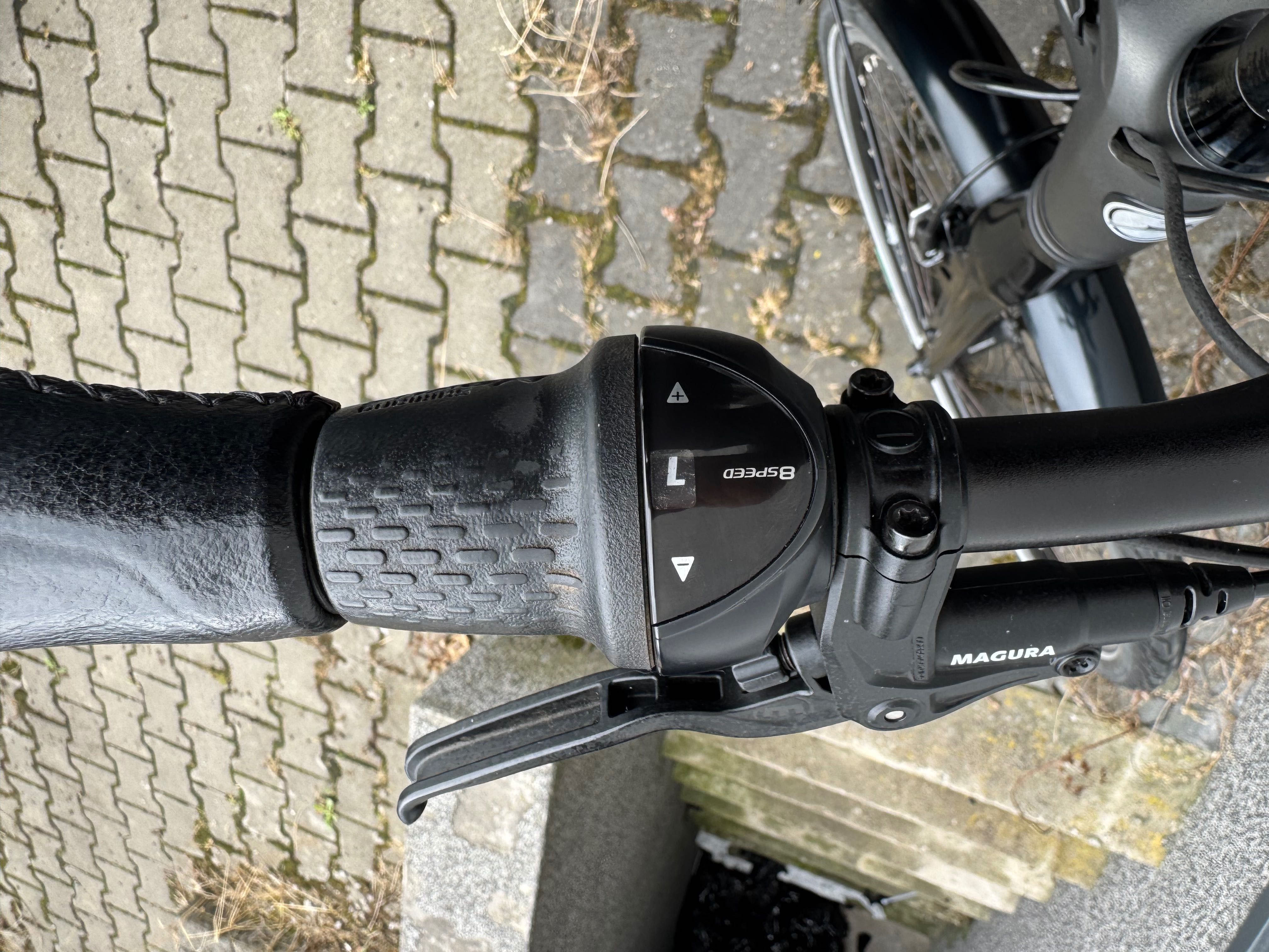 Rower Elektryczny Gazelle Ultimate C8+