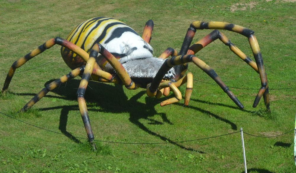 Ogromną figura pająka tygrzyk paskowany figury owadów park rozrywki