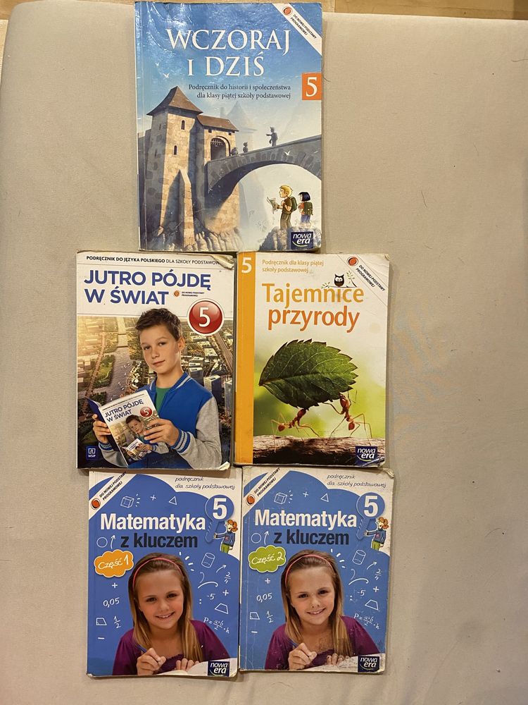 ZESTAW PODRECZNIKÓW do szkoly podstawowej - KLASA 5 -