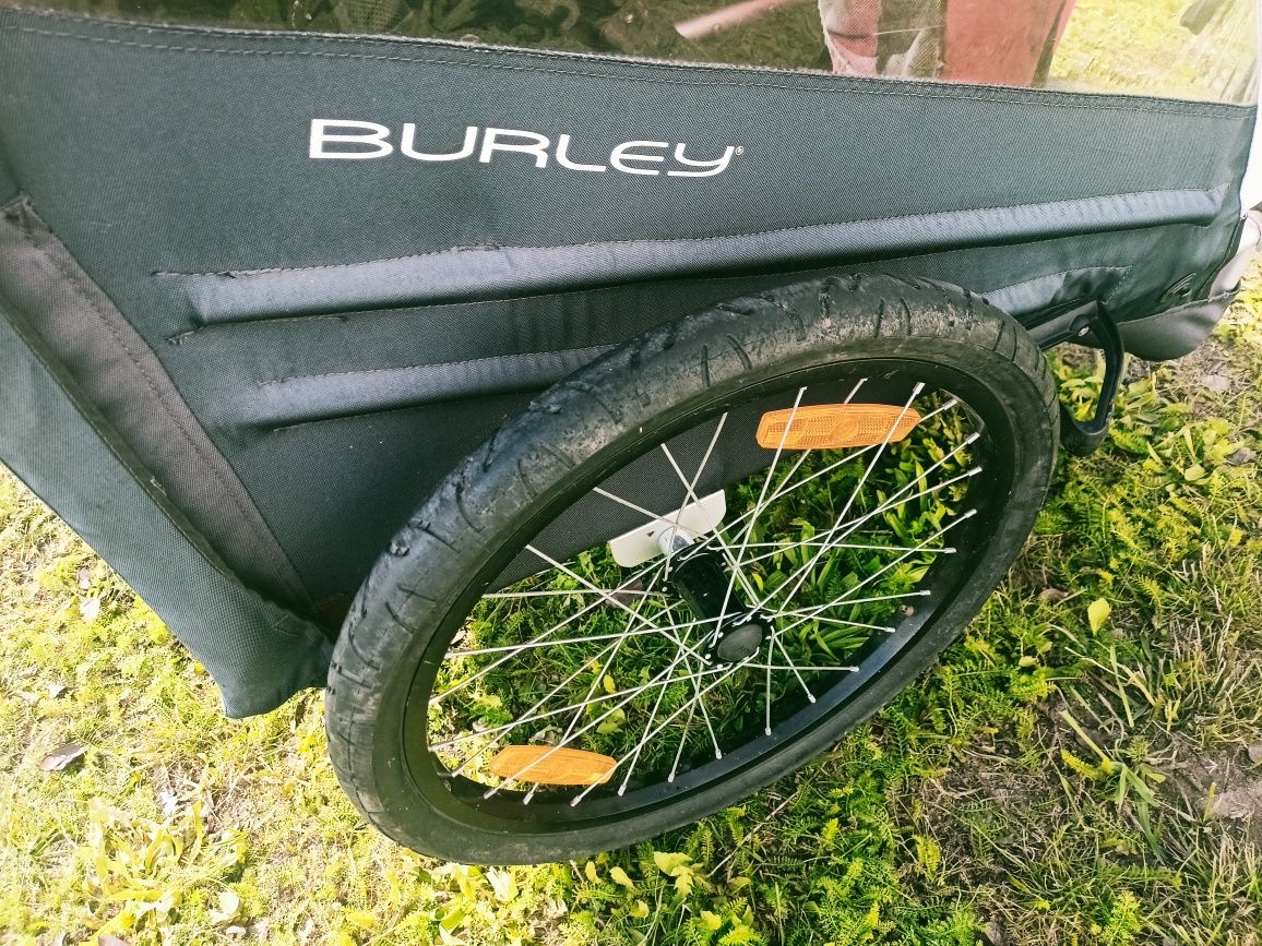 Przyczepka rowerowa Burley Honney Bee.