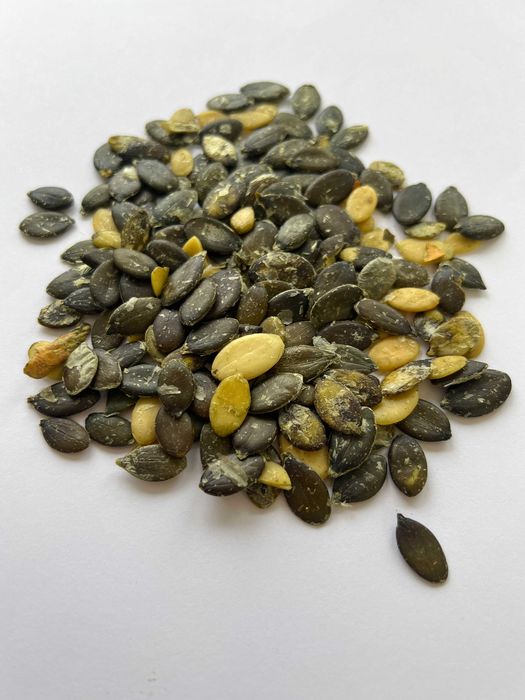 Насіння гарбуза голонасінного для олії, опт + насіння для переробки