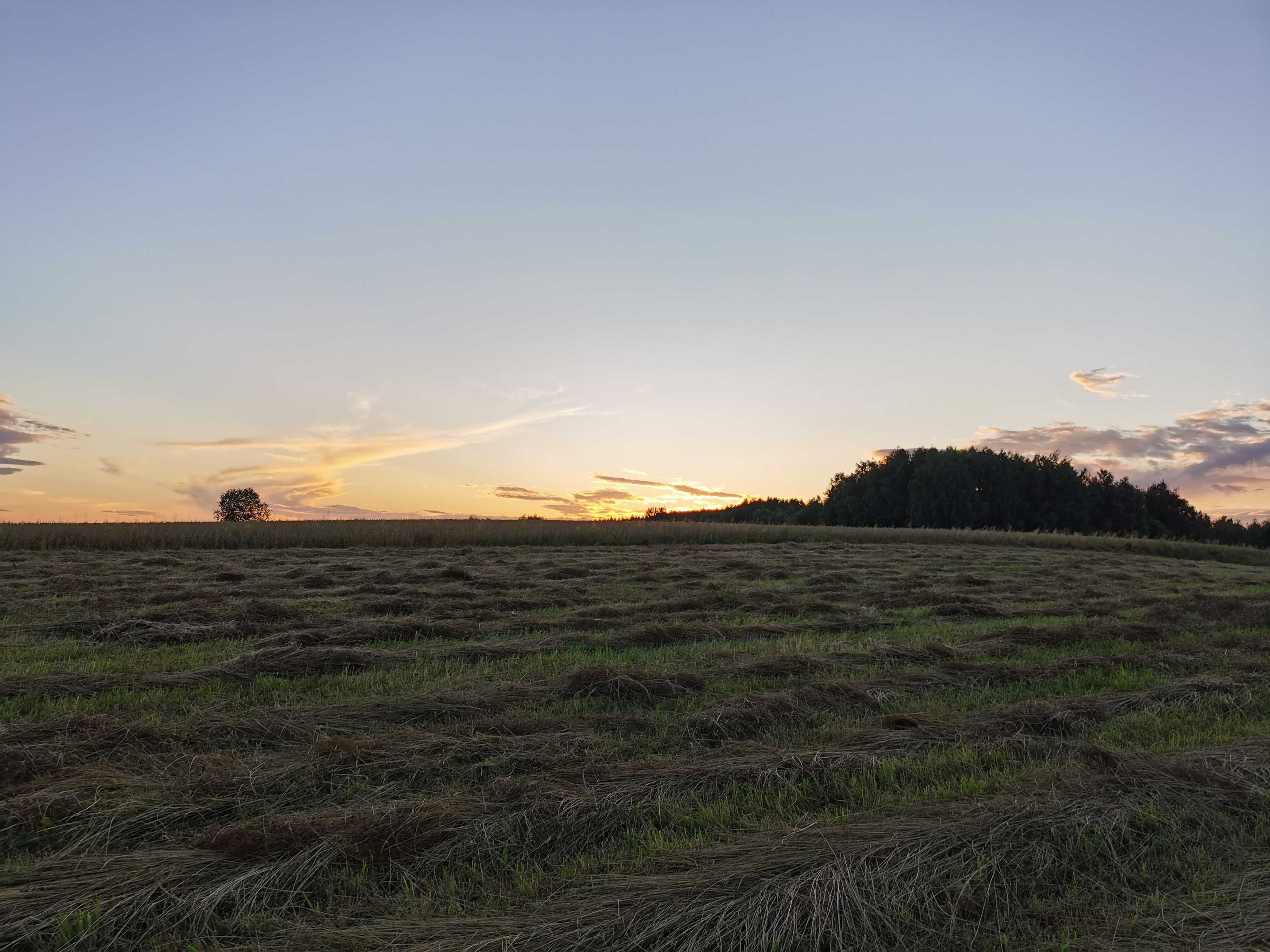 Działka rolna 10 arów na sprzedaż, KRUS, lokata, inwestycja.