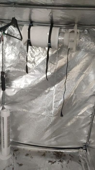 Growroom / Estufa / Growtent