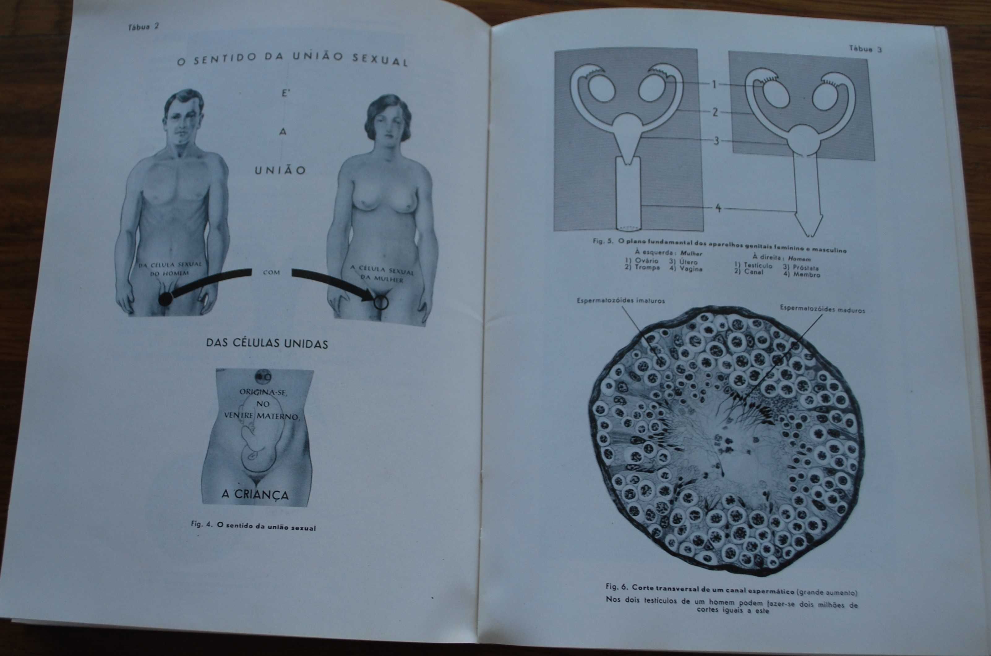 A Nossa Vida Sexual (Seus Problemas e Soluções) de Fritz Kahn