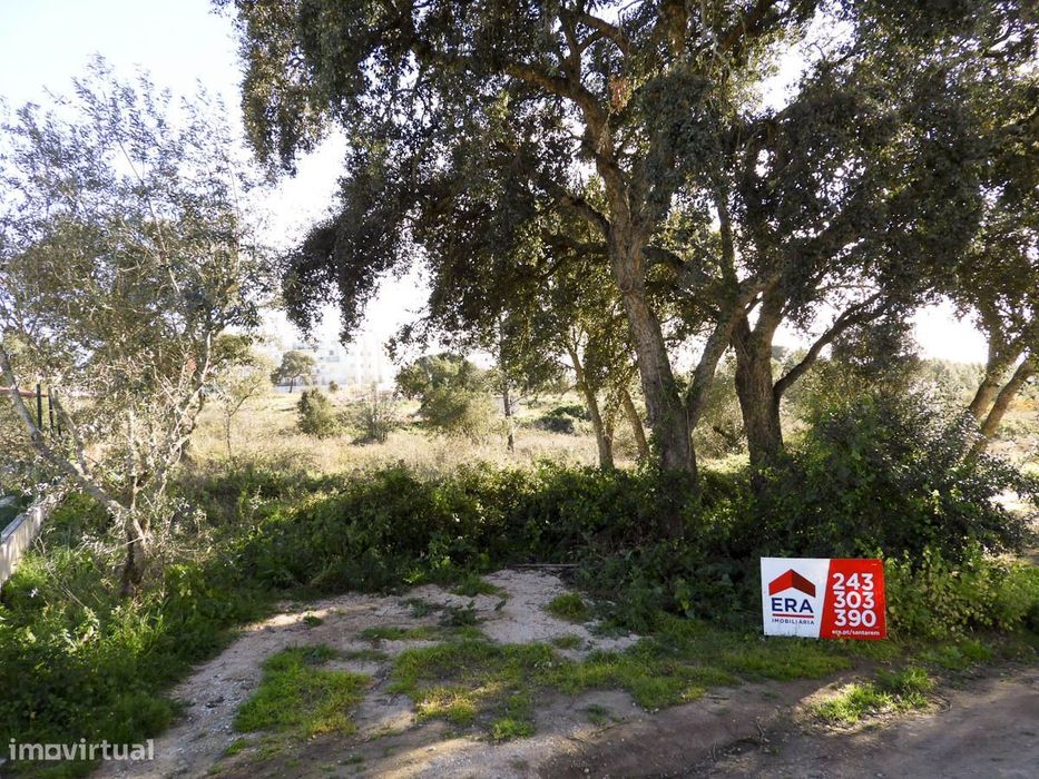 Lote de Terreno