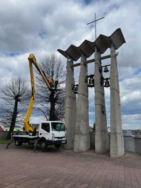 Wycinka drzew  usługi ogrodnicze wycinka drzew  robienie trawników