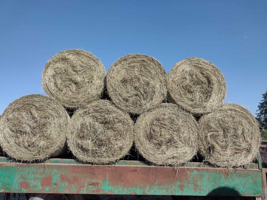 Siano w balotach lub kostkach