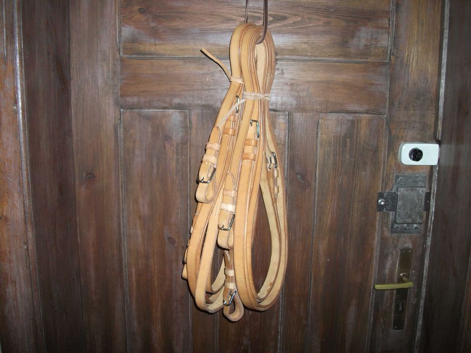 Lejce parokonne, na dwa konie