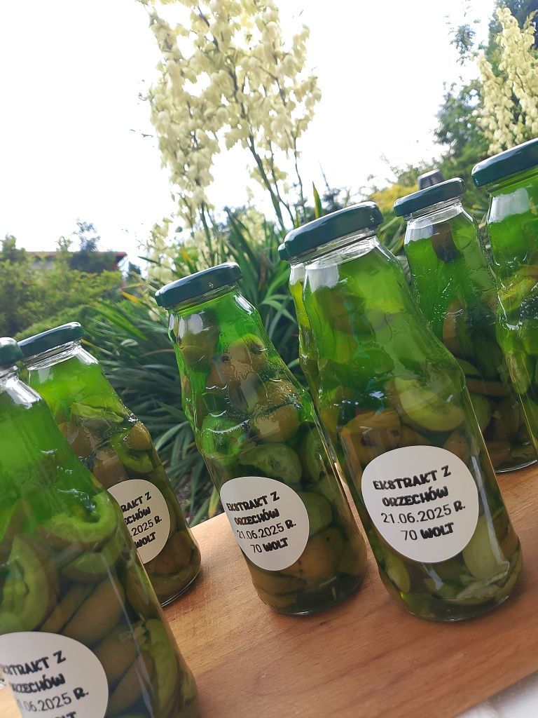 Ekstrakt z młodych orzechów włoskich 330ml